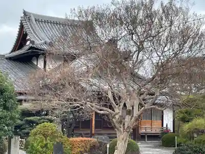 行住院(京都府)