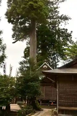 須我神社(島根県)