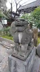 三囲神社の狛犬