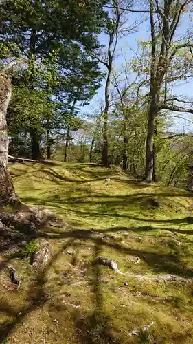 諏訪神社の自然