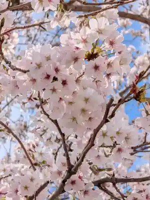 渋谷氷川神社(東京都)
