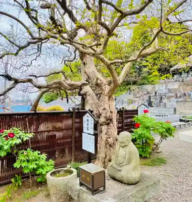 福厳寺の{uncategorized: "未分類", other: "その他", undefined: "問題あり", building: "その他建物", grave: "お墓", sacred_gate: "鳥居", guardian: "狛犬", statue: "像", buddha: "仏像", history: "歴史", nature: "自然", garden: "庭園", animal: "動物", pagoda: "塔", temizu: "手水舎", mountain_gate: "山門・神門", sanctuary: "本殿・本堂", subordinate: "末社・摂社", art: "芸術", scenery: "景色", jizo: "地蔵", ema: "絵馬", goshuin: "御朱印", omikuji: "おみくじ", items: "授与品その他", amulet: "お守り", goshuincho: "御朱印帳", eats: "食事", festival: "お祭り", votive_dance: "神楽", shichigosan: "七五三参", wedding: "結婚式", experience: "体験その他", initially: "初詣", around: "周辺", anti_infection: "感染症対策"}