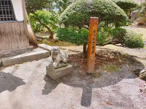 常堅寺の{uncategorized: "未分類", other: "その他", undefined: "問題あり", building: "その他建物", grave: "お墓", sacred_gate: "鳥居", guardian: "狛犬", statue: "像", buddha: "仏像", history: "歴史", nature: "自然", garden: "庭園", animal: "動物", pagoda: "塔", temizu: "手水舎", mountain_gate: "山門・神門", sanctuary: "本殿・本堂", subordinate: "末社・摂社", art: "芸術", scenery: "景色", jizo: "地蔵", ema: "絵馬", goshuin: "御朱印", omikuji: "おみくじ", items: "授与品その他", amulet: "お守り", goshuincho: "御朱印帳", eats: "食事", festival: "お祭り", votive_dance: "神楽", shichigosan: "七五三参", wedding: "結婚式", experience: "体験その他", initially: "初詣", around: "周辺", anti_infection: "感染症対策"}