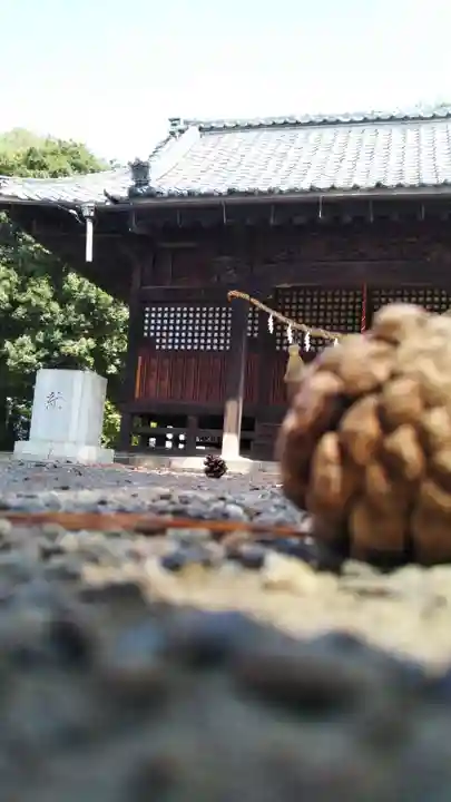 八幡神社の本殿・本堂