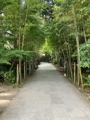 來宮神社(静岡県)