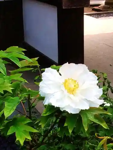 圓照寺(東京都)