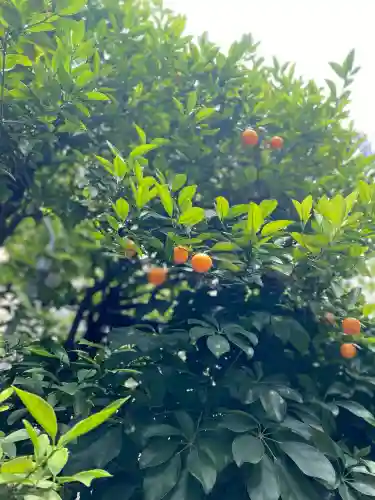 秋葉神社(東京都)