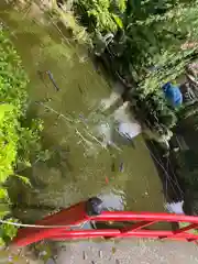 小室浅間神社(山梨県)