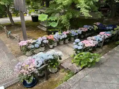 勝林寺(京都府)