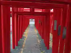 小泉稲荷神社の鳥居