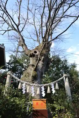 溝口神社(神奈川県)