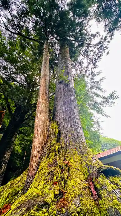 八幡神社(福井県)