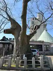 阿邪訶根神社(福島県)