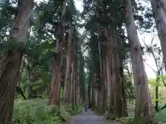 戸隠神社奥社の自然