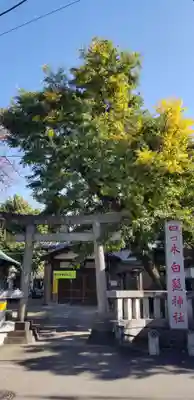 白髭神社の鳥居