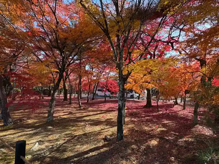 天龍寺(京都府)