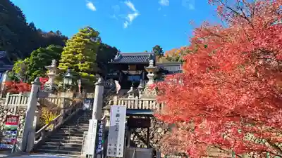 柳谷観音　楊谷寺(京都府)