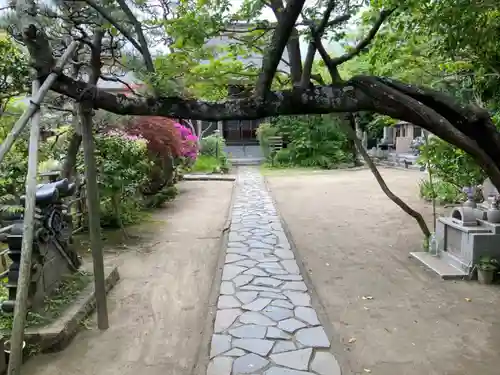 教恩寺(神奈川県)
