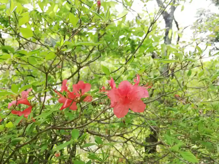 八幡神社(福島県)