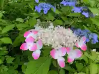 宝積山光前寺の自然