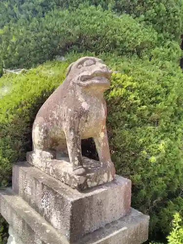 冨士浅間神社の狛犬