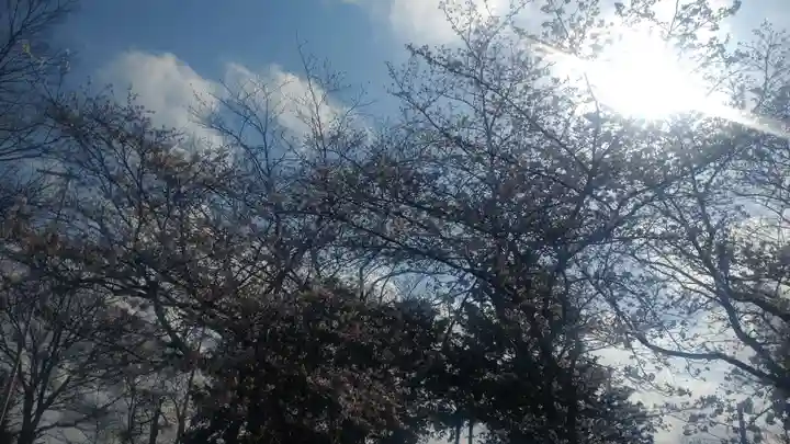 千勝神社(茨城県)