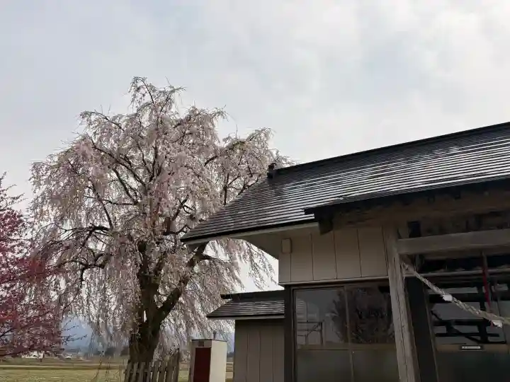 古四王神社の{uncategorized: "未分類", other: "その他", undefined: "問題あり", building: "その他建物", grave: "お墓", sacred_gate: "鳥居", guardian: "狛犬", statue: "像", buddha: "仏像", history: "歴史", nature: "自然", garden: "庭園", animal: "動物", pagoda: "塔", temizu: "手水舎", mountain_gate: "山門・神門", sanctuary: "本殿・本堂", subordinate: "末社・摂社", art: "芸術", scenery: "景色", jizo: "地蔵", ema: "絵馬", goshuin: "御朱印", omikuji: "おみくじ", items: "授与品その他", amulet: "お守り", goshuincho: "御朱印帳", eats: "食事", festival: "お祭り", votive_dance: "神楽", shichigosan: "七五三参", wedding: "結婚式", experience: "体験その他", initially: "初詣", around: "周辺", anti_infection: "感染症対策"}