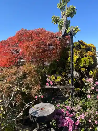 少林寺(埼玉県)