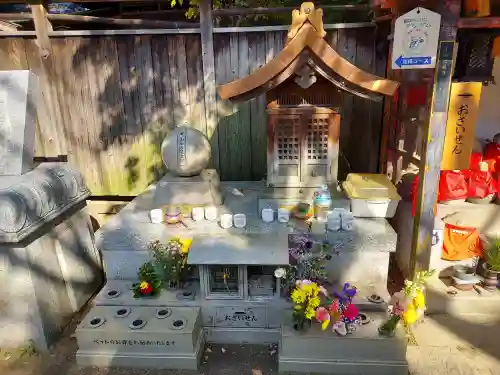 全興寺の{uncategorized: "未分類", other: "その他", undefined: "問題あり", building: "その他建物", grave: "お墓", sacred_gate: "鳥居", guardian: "狛犬", statue: "像", buddha: "仏像", history: "歴史", nature: "自然", garden: "庭園", animal: "動物", pagoda: "塔", temizu: "手水舎", mountain_gate: "山門・神門", sanctuary: "本殿・本堂", subordinate: "末社・摂社", art: "芸術", scenery: "景色", jizo: "地蔵", ema: "絵馬", goshuin: "御朱印", omikuji: "おみくじ", items: "授与品その他", amulet: "お守り", goshuincho: "御朱印帳", eats: "食事", festival: "お祭り", votive_dance: "神楽", shichigosan: "七五三参", wedding: "結婚式", experience: "体験その他", initially: "初詣", around: "周辺", anti_infection: "感染症対策"}