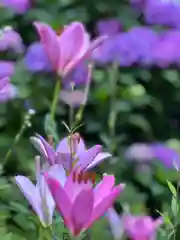 仁科神社(長野県)