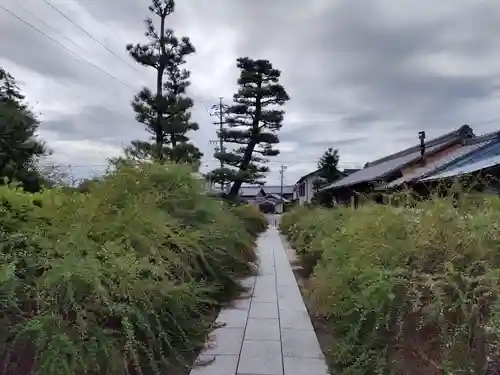 圓光禅寺（円光寺）の景色