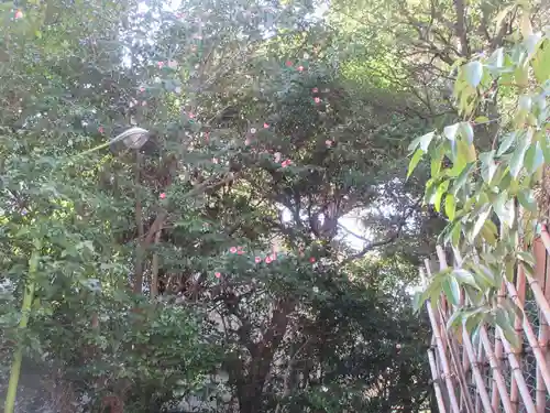 王子神社(東京都)