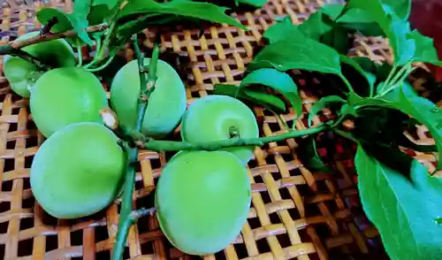 玉眞院玉川大師の授与品その他