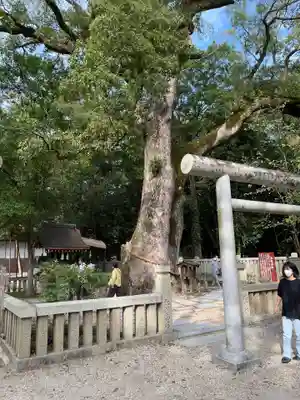 伊弉諾神宮(兵庫県)