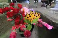 熊野福藏神社の自然