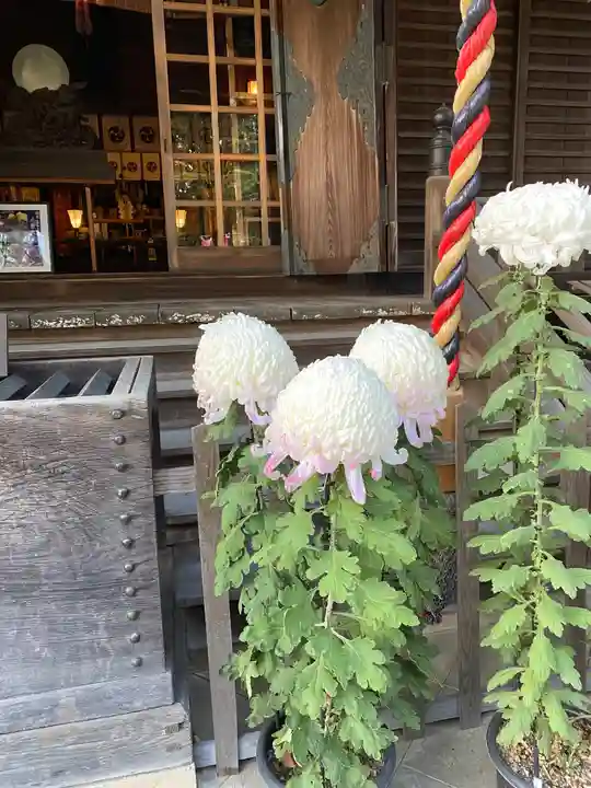曾屋神社(神奈川県)