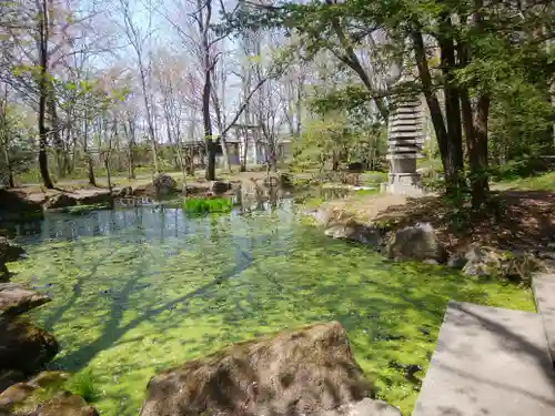 帯廣神社の庭園