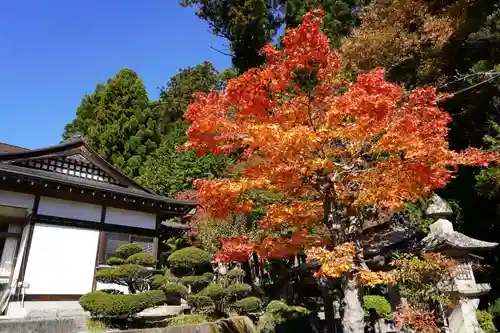 鹿島大神宮の自然