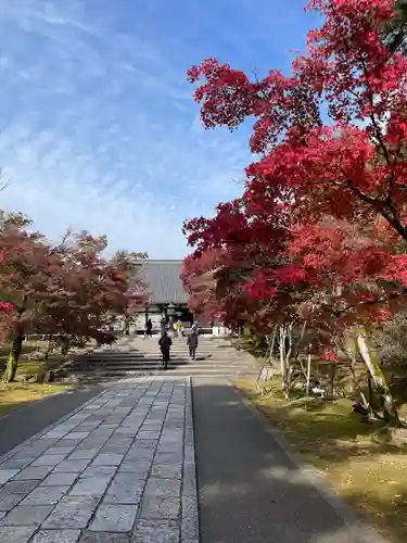 仁和寺(京都府)