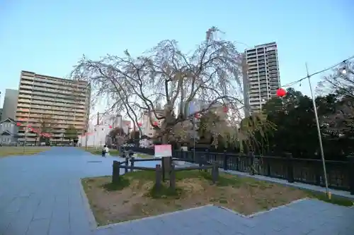 櫻岡大神宮の建物その他