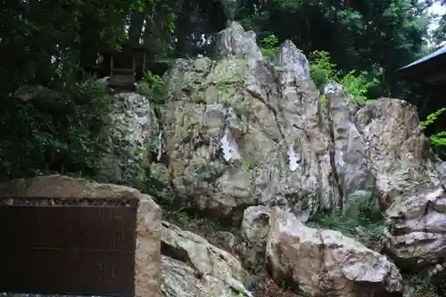 鹿島大神宮の自然