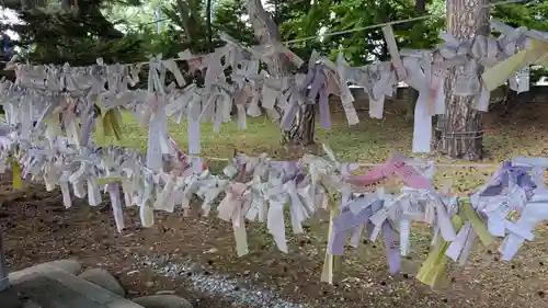 富良野神社のおみくじ