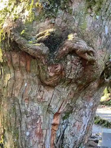 玉置神社(奈良県)