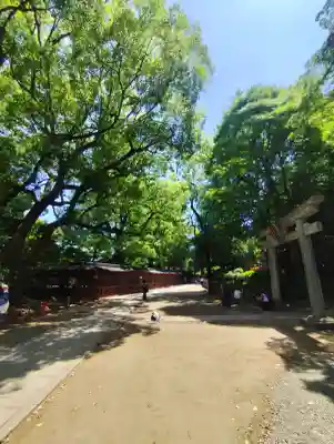 駒込稲荷神社の{uncategorized: "未分類", other: "その他", undefined: "問題あり", building: "その他建物", grave: "お墓", sacred_gate: "鳥居", guardian: "狛犬", statue: "像", buddha: "仏像", history: "歴史", nature: "自然", garden: "庭園", animal: "動物", pagoda: "塔", temizu: "手水舎", mountain_gate: "山門・神門", sanctuary: "本殿・本堂", subordinate: "末社・摂社", art: "芸術", scenery: "景色", jizo: "地蔵", ema: "絵馬", goshuin: "御朱印", omikuji: "おみくじ", items: "授与品その他", amulet: "お守り", goshuincho: "御朱印帳", eats: "食事", festival: "お祭り", votive_dance: "神楽", shichigosan: "七五三参", wedding: "結婚式", experience: "体験その他", initially: "初詣", around: "周辺", anti_infection: "感染症対策"}