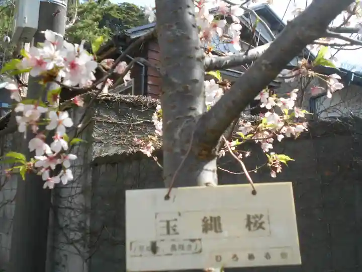 五所神社の自然