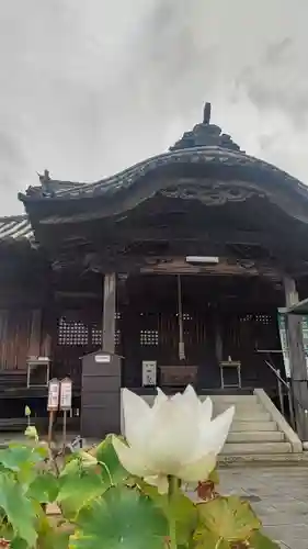 餘慶寺の本殿・本堂