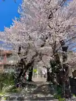 與瀬神社(与瀬神社)(神奈川県)