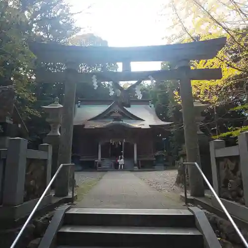 泉神社の鳥居