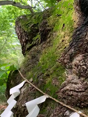 那須温泉神社の自然
