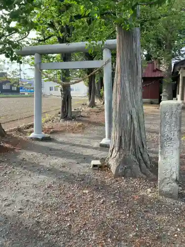 羽牛田町高龗神社の{uncategorized: "未分類", other: "その他", undefined: "問題あり", building: "その他建物", grave: "お墓", sacred_gate: "鳥居", guardian: "狛犬", statue: "像", buddha: "仏像", history: "歴史", nature: "自然", garden: "庭園", animal: "動物", pagoda: "塔", temizu: "手水舎", mountain_gate: "山門・神門", sanctuary: "本殿・本堂", subordinate: "末社・摂社", art: "芸術", scenery: "景色", jizo: "地蔵", ema: "絵馬", goshuin: "御朱印", omikuji: "おみくじ", items: "授与品その他", amulet: "お守り", goshuincho: "御朱印帳", eats: "食事", festival: "お祭り", votive_dance: "神楽", shichigosan: "七五三参", wedding: "結婚式", experience: "体験その他", initially: "初詣", around: "周辺", anti_infection: "感染症対策"}